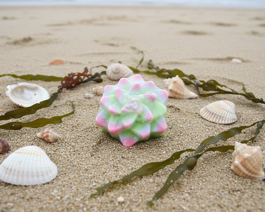 Green House Succulent Soap UNSCENTED