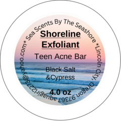 Shoreline Exfolient Teen Oatmeal Facial Bar with Steel Oats